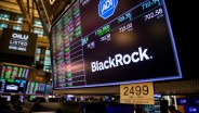 Kisi-kisi BlackRock soal Investasi Rendah Karbon Senilai US$4 triliun