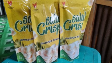 Jelajah Sinyal 2023: Literasi Digital Minim Hambat Promosi Salak Crispy Pinrang