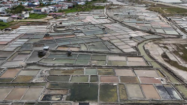 Musim Hujan Tiba, Produksi Garam Mulai Menurun Dalam Sepekan Terakhir