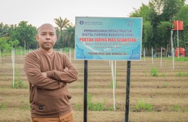 Jelajah UMKM: Produksi Cabai Gapoktan Cagar Tumbuh Berlipat Berkat Demplot Digital Farming