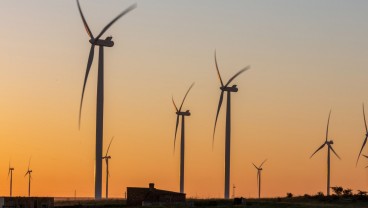 Cerahnya Prospek Energi Hijau di Benua Hitam