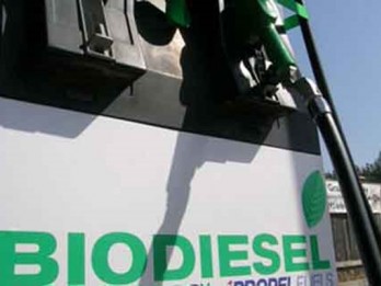 COP-28: Pertamina Bakal Terapkan Biodiesel B40 Tahun Depan