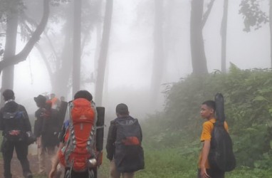 Gunung Marapi Erupsi, BKSDA: Ada 70 Pendaki Saat Gunung Meletus