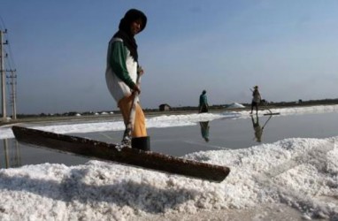 Garam Industri Lokal Belum Sesuai Standar Pengguna, Ini Upaya Kemenperin