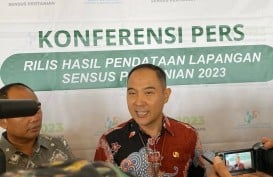 Kilas Pertanian Sumsel 10 Tahun Terakhir, Ancaman Regenerasi Petani