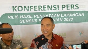 Kilas Pertanian Sumsel 10 Tahun Terakhir, Ancaman Regenerasi Petani