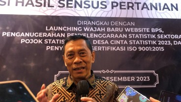 Jumlah Usaha Pertanian Merosot, BPS Sebut Imbas Perubahan Lahan