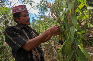 Petani Berusia Lebih dari 55 Tahun di Sumut Meningkat