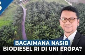 Tantangan Pemerintah Indonesia Hadapi Sengketa Biodiesel di WTO
