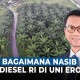 Tantangan Pemerintah Indonesia Hadapi Sengketa Biodiesel di WTO