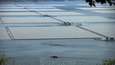Skema Shareholder Loan Proyek PLN Dinilai Batasi Akselerasi EBT