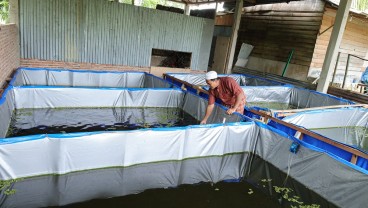 Jelajah UMKM: Ponpes Jabal Nur Jadi Pesantren Mandiri Berkat Berbagai Lini Usaha Ini