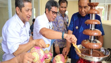 Jembrana Bakal Miliki Pabrik Coklat Sendiri di Kaliakah
