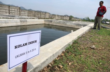 Pemkab Cirebon Bangun Pusat Benih untuk Naikkan Pamor Ikan Air Tawar