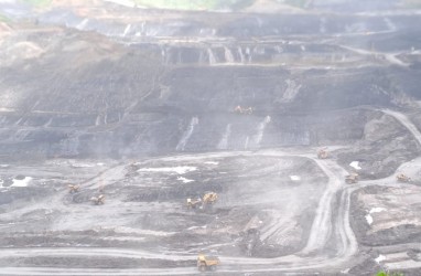 Sikap Berau Coal Soal Skema Pungut Salur Iuran Batu Bara