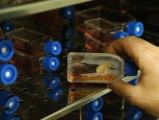 Prodia (PRDA) Gelontorkan Rp100 Miliar Bangun Fasilitas Stem Cell