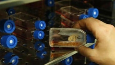 Prodia (PRDA) Gelontorkan Rp100 Miliar Bangun Fasilitas Stem Cell