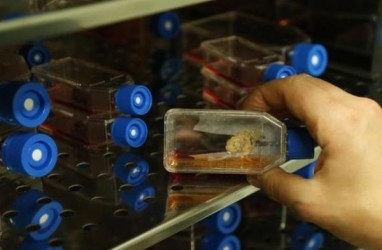 Prodia (PRDA) Gelontorkan Rp100 Miliar Bangun Fasilitas Stem Cell