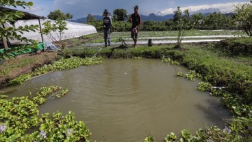 Jelajah EV: Kisah Harita Nickel Terbitkan Harapan Petani Pulau Obi