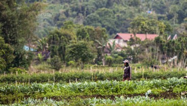 Sensus Pertanian 2023: Petani Milenial di Sumbar Sebanyak 756.022 Orang