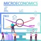 Apa itu Ekonomi Mikro? Ini Prinsip, Tujuan hingga Contohnya