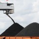 Emiten Batu Bara Sumber Global (SGER) Rambah Bisnis Biomassa & Hidrogen Peroksida