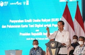 Jokowi Janji Tambah Subsidi Pupuk Demi Genjot Produksi Petani