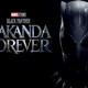 Arti ‘Wakanda No More, Indonesia Forever’ Disebut Anies Baswedan dalam Debat Capres 2024