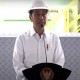 Resmikan Ekspansi Smelter Freeport, Jokowi: Kapasitas Bertambah Jadi 1,3 Juta Ton