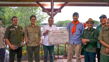 MUJ Sudah Tanam 7.000 Mangrove di Pesisir Utara Jabar