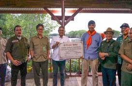 MUJ Sudah Tanam 7.000 Mangrove di Pesisir Utara Jabar