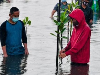 Setahun Berlalu, Riau Tuntaskan Dokumen Rencana Aksi Pengelolaan Mangrove