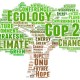 Citi Global Ramal Penyebab Minimnya Pendanaan Terkait Perubahan Iklim