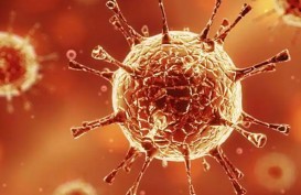 WHO Ungkap 9 Varian Virus Covid-19 yang Kini Mendominasi