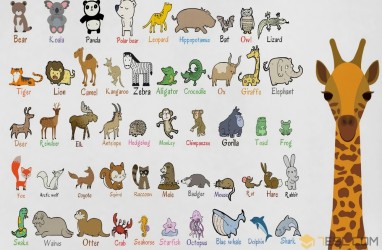 Nama-nama Hewan dalam Bahasa Inggris Lengkap dari Huruf A-Z