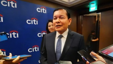 Citi Indonesia Buka-bukaan Langkah Genjot Penyaluran Pembiayaan Hijau