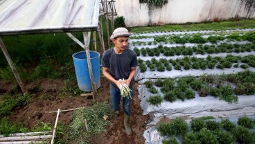 Ada 79.479 Petani Milenial di Ciayumajakuning