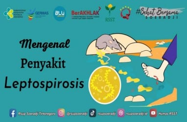 Gejala dan Komplikasi Leptospirosis, Bisa Sebabkan Ginjal Akut hingga Gagal Jantung