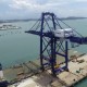 STS Crane Pangkas Dwelling Time di Pelabuhan Batuampar Hingga 81%