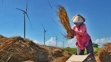 ESDM: Pertanian di Luar Sistem Irigasi Tidak Perlu Izin Penggunaan Air Tanah