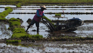 Transformasi Petani Modern