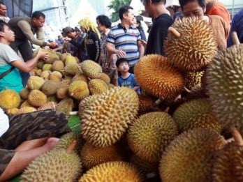 Musim Durian Tiba, Mulai Rp15.000 di Kota Medan