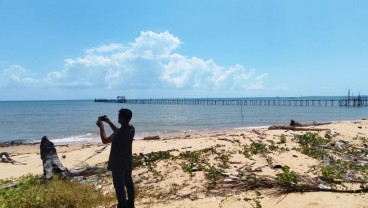 Progres Pertama Rempang Eco City Manfaatkan Lahan Seluas 2.370 Hektare untuk Kawasan Industri