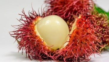 5 Manfaat Buah Rambutan Bagi Kesehatan Tubuh