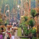 Kunjungan Meningkat Drastis, Desa Wisata Penglipuran Raup Pendapatan Rp25,8 Miliar