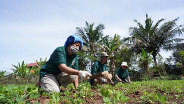 Jalur Nol Emisi Vale Indonesia untuk Pembangunan Berkelanjutan