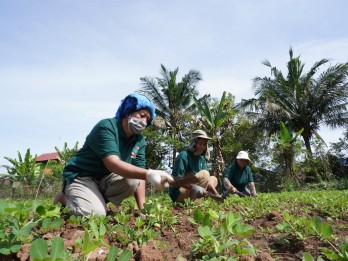 Jalur Nol Emisi Vale Indonesia untuk Pembangunan Berkelanjutan