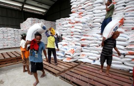 Musim Panen Mundur, Jokowi Isyaratkan Impor Beras Biar Stok Aman