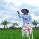Subsidi Pupuk Rp14 Triliun Jokowi Diragukan Bisa Genjot Produksi Padi