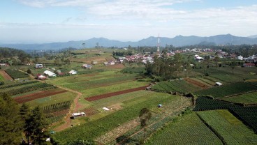 Kisah Petani Sulsel Manfaatkan KUR, Selamatkan Diri dari Jeratan Rentenir